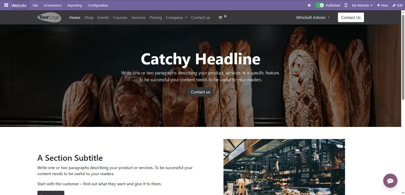 Website theme homepage